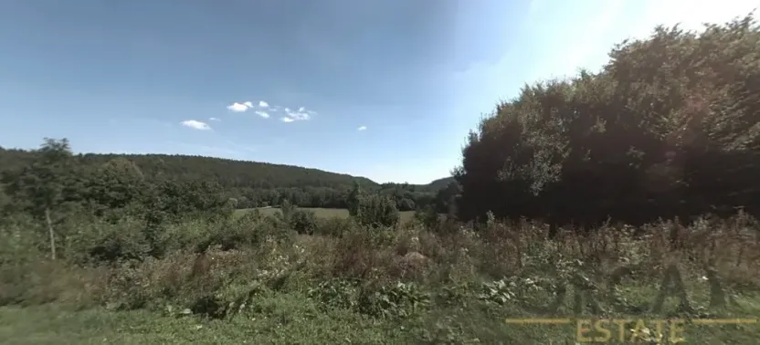Prodej louky, Luže, 6578 m2