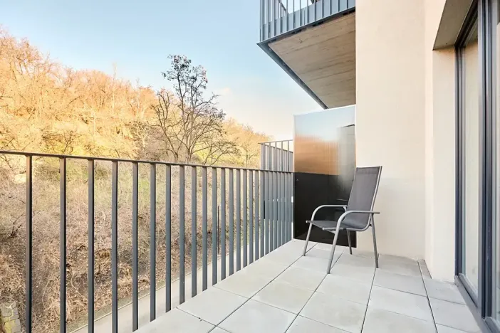Pronájem bytu 1+kk, Praha - Žižkov, Hartigova, 45 m2
