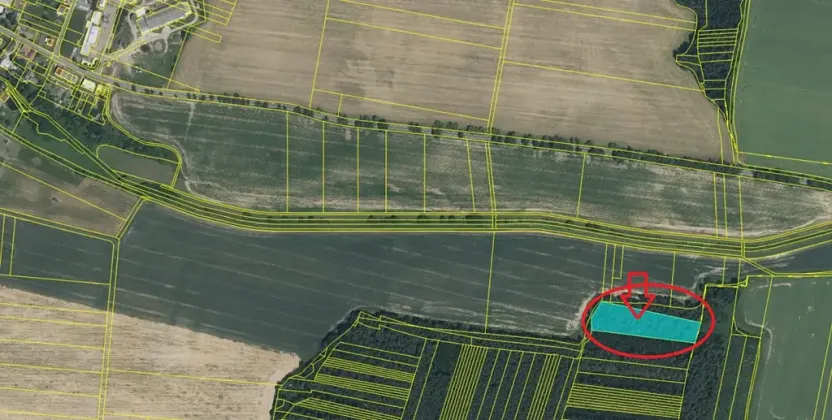 Prodej lesa, Puclice, 13840 m2