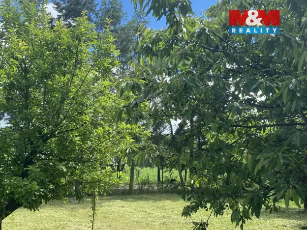 Prodej zahrady, Dobruška, Doly, 580 m2