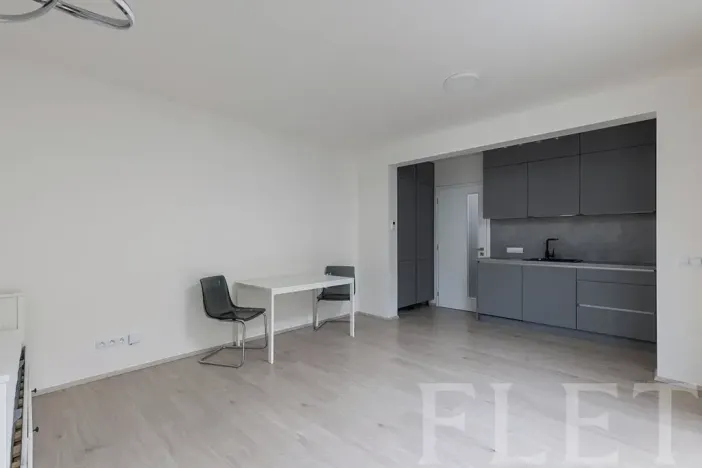 Pronájem bytu 1+kk, Praha - Žižkov, Hartigova, 37 m2