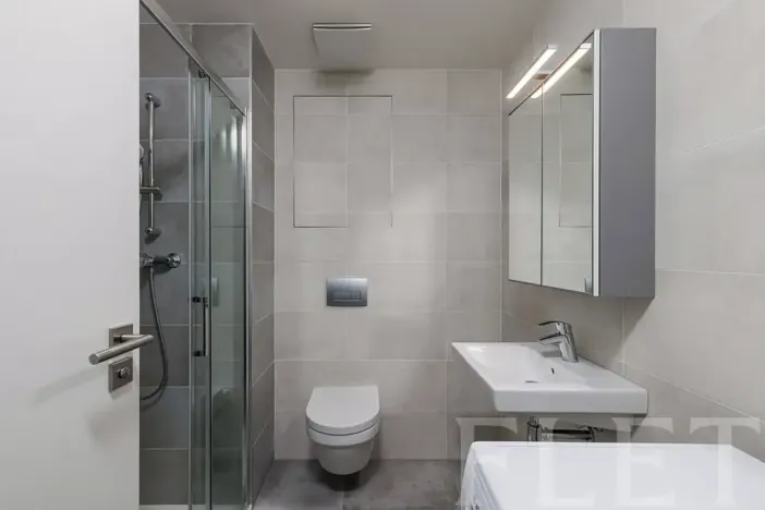 Pronájem bytu 1+kk, Praha - Žižkov, Hartigova, 37 m2