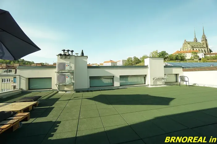 Pronájem bytu 1+kk, Brno, Vodní, 20 m2