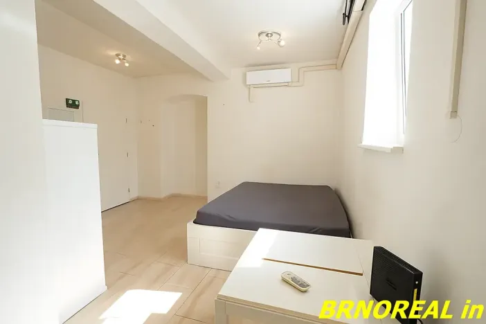 Pronájem bytu 1+kk, Brno, Vodní, 20 m2