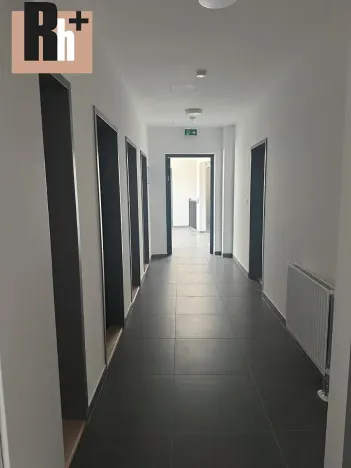 Pronájem bytu 3+kk, Ostrava, Opavská, 70 m2