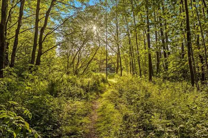 Prodej rodinného domu, Libeř, 258 m2