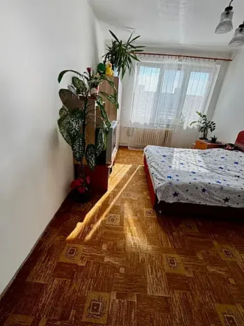 Prodej bytu 2+1, Ostrava, Čkalovova, 56 m2