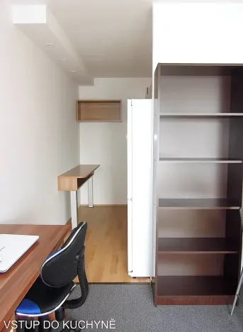 Pronájem pokoje, Brno, Běloruská, 50 m2