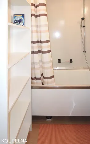 Pronájem pokoje, Brno, Běloruská, 50 m2