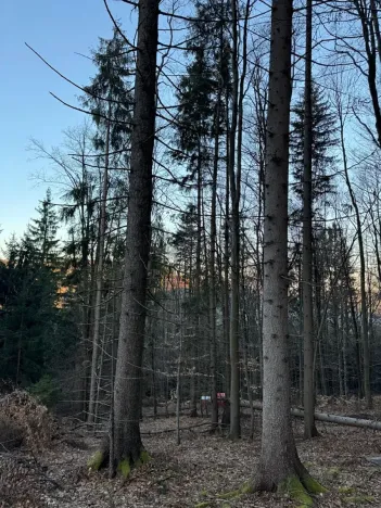 Prodej lesa, Zděchov, 5729 m2