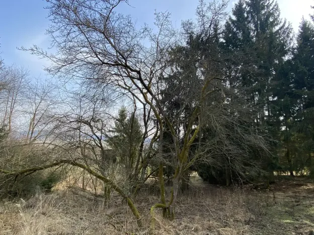 Prodej pozemku, Městečko Trnávka - Lázy, 384 m2