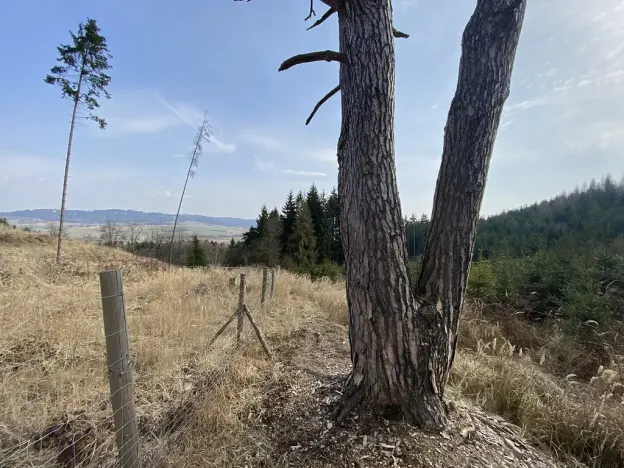 Prodej pozemku, Městečko Trnávka - Lázy, 384 m2