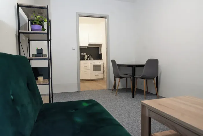 Pronájem bytu 2+1, Brno, Bratislavská, 50 m2