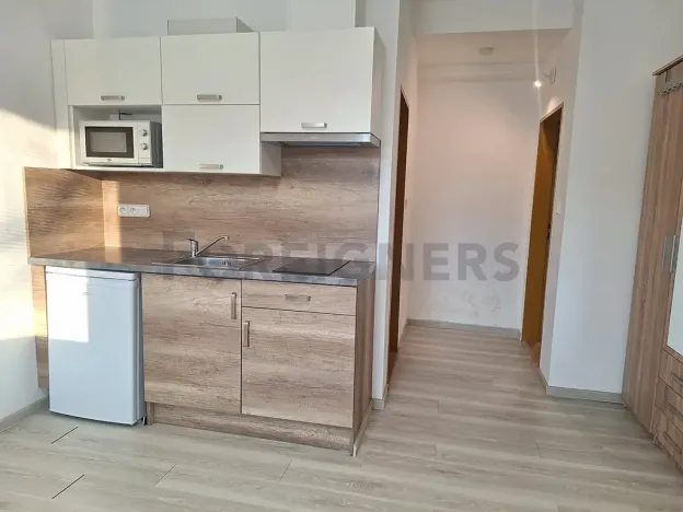 Pronájem bytu 1+kk, Olomouc, Lazecká, 25 m2