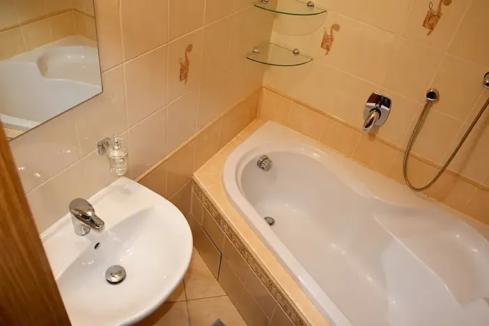 Pronájem bytu 3+1, České Budějovice, Dobrovodská, 66 m2