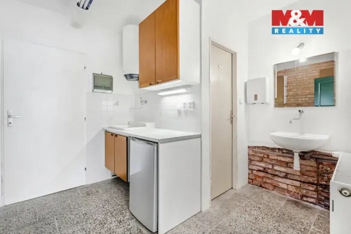 Prodej činžovního domu, Ústí nad Labem - Krásné Březno, Plavecká, 172 m2