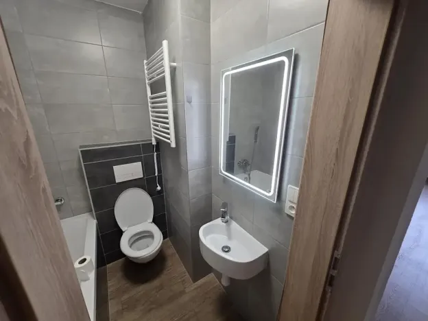 Pronájem bytu 1+1, Teplice, Smetanova, 55 m2