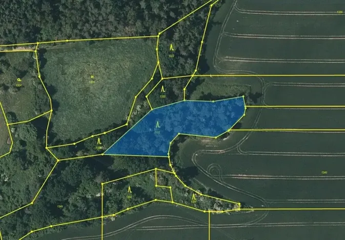 Prodej lesa, Černíkovice, 2471 m2