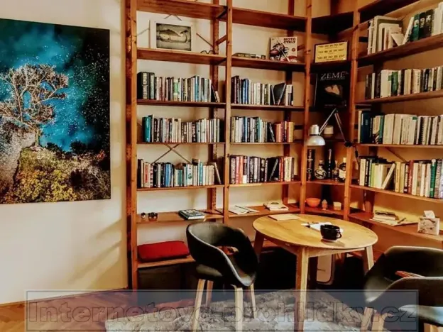 Pronájem bytu 1+1, Praha - Staré Město, 33 m2
