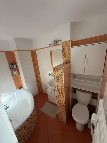 Pronájem bytu 2+1, Plzeň, Schwarzova, 63 m2