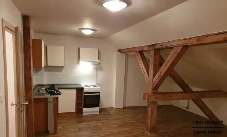 Pronájem bytu 1+kk, Ústí nad Labem, Londýnská, 52 m2