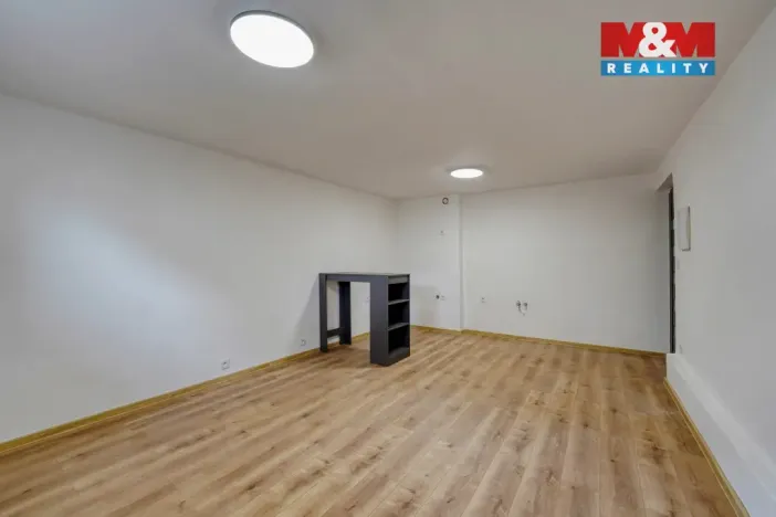 Prodej bytu 1+kk, Plzeň - Východní Předměstí, Ořechová, 26 m2