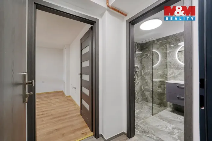 Prodej bytu 1+kk, Plzeň - Východní Předměstí, Ořechová, 26 m2