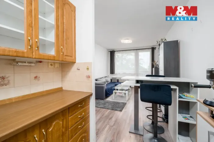 Prodej bytu 2+kk, Teplice - Trnovany, Trnovanská, 48 m2