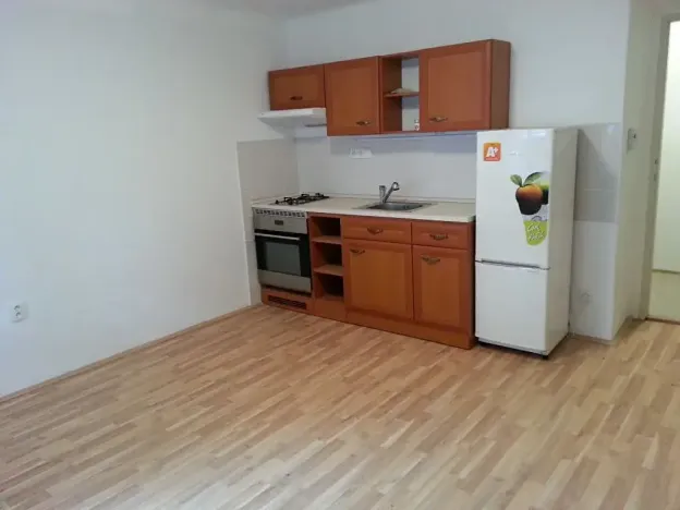 Pronájem bytu 1+kk, Praha - Žižkov, U kněžské louky, 35 m2