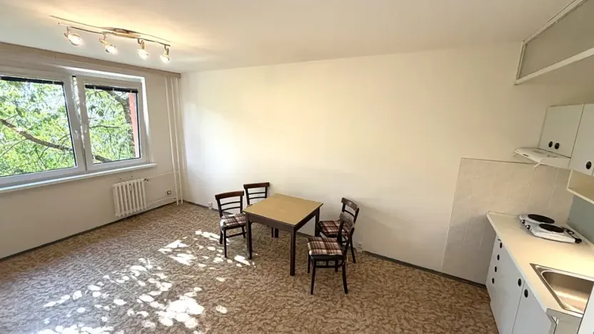 Pronájem bytu 1+kk, Praha - Chodov, Nad Opatovem, 30 m2