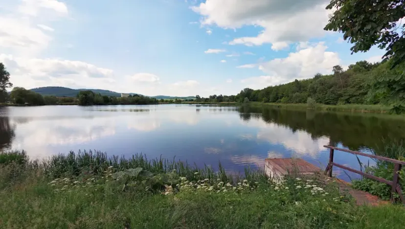 Prodej louky, Město Albrechtice, 2748 m2