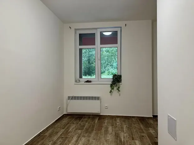 Pronájem bytu 2+kk, Plzeň, Mánesova, 43 m2
