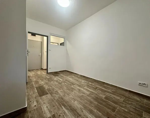 Pronájem bytu 2+kk, Plzeň, Mánesova, 43 m2