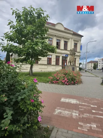 Pronájem obchodního prostoru, Olomouc - Nová Ulice, Litovelská, 20 m2