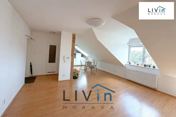 Pronájem bytu 1+kk, Olomouc, Krakovská, 80 m2