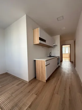Prodej bytu 2+1, Písek, nábřeží 1. máje, 60 m2