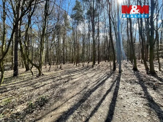 Prodej pozemku pro bydlení, Morašice, 960 m2