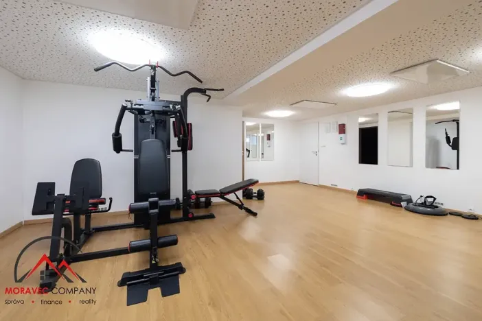 Pronájem bytu 1+kk, Ostrava, Cihelní, 38 m2