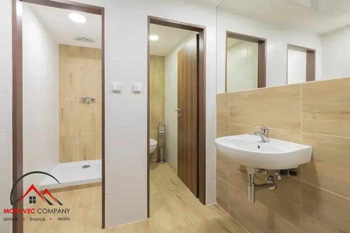 Pronájem bytu 1+kk, Ostrava, Cihelní, 38 m2