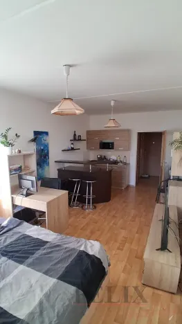 Pronájem bytu 1+kk, Olomouc, Kavaleristů, 36 m2