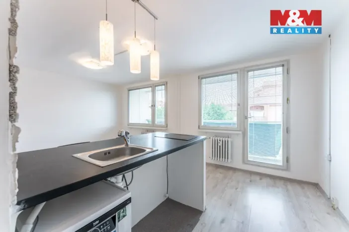 Prodej bytu 1+kk, Praha - Žižkov, Za žižkovskou vozovnou, 43 m2