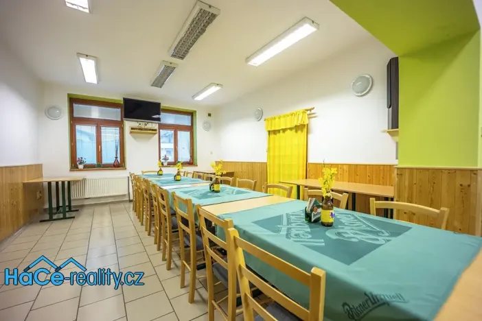 Prodej komerční nemovitosti, Slatina nad Zdobnicí, 572 m2