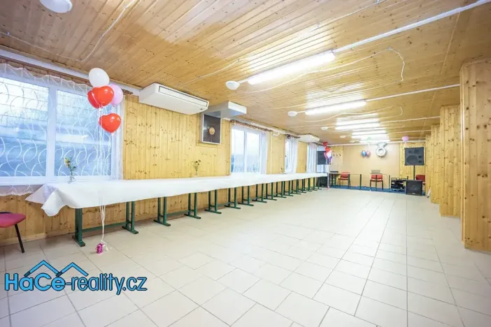 Prodej komerční nemovitosti, Slatina nad Zdobnicí, 572 m2