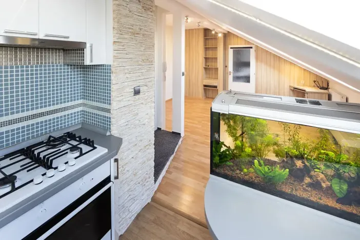 Pronájem bytu 2+kk, Opava, Mánesova, 48 m2