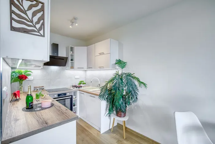 Pronájem bytu 2+kk, Zruč nad Sázavou, Na Pohoří, 43 m2