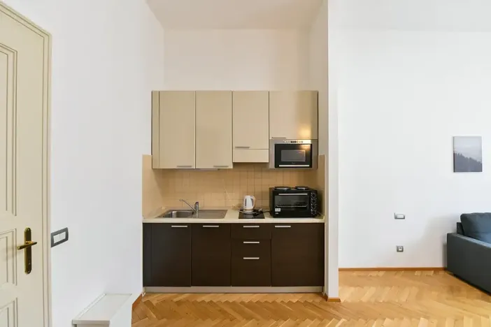 Prodej bytu 2+kk, Praha - Nové Město, Hálkova, 49 m2