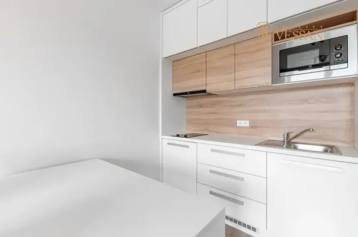 Prodej bytu 1+kk, Praha - Vršovice, Petrohradská, 30 m2