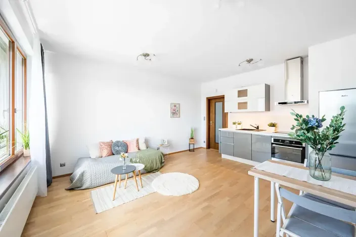 Prodej bytu 1+kk, Praha - Holešovice, V háji, 31 m2