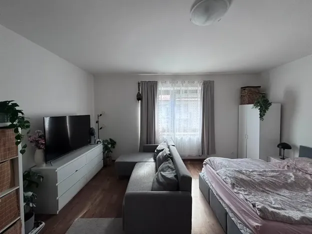 Pronájem bytu 1+1, Jihlava, Hálkova, 39 m2