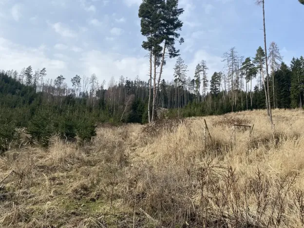 Prodej pozemku, Městečko Trnávka - Lázy, 384 m2